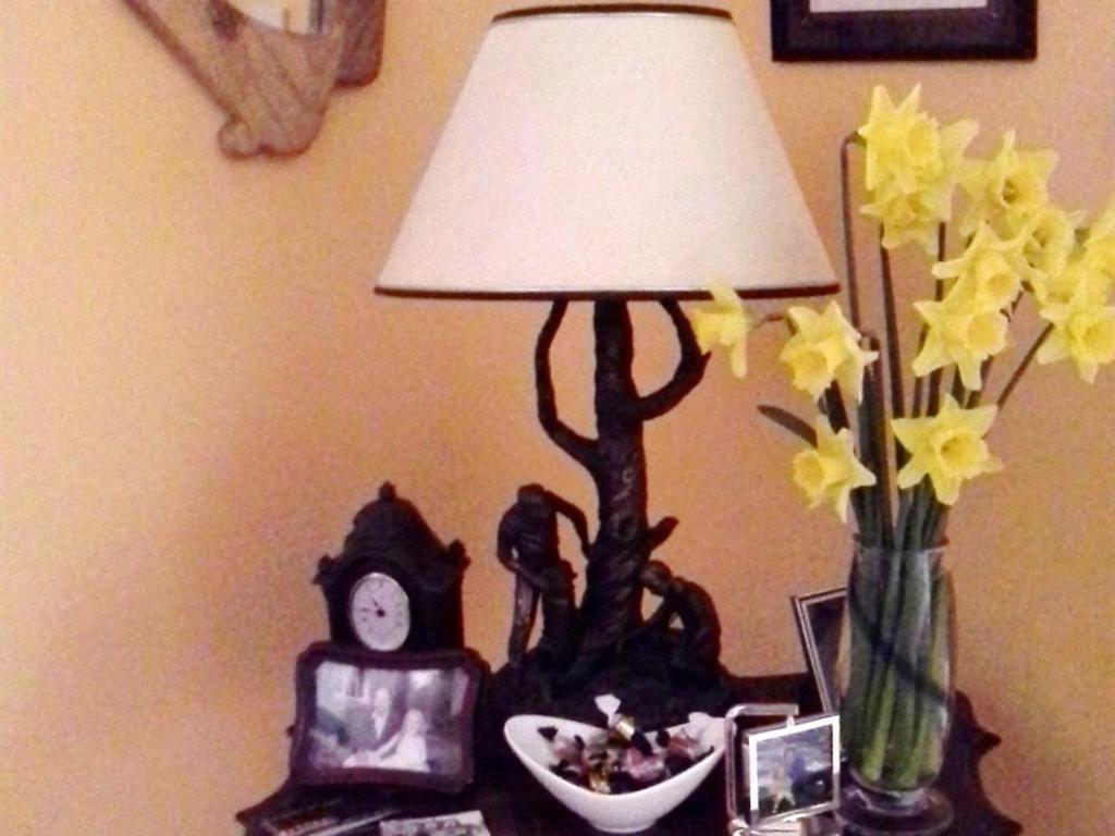Blossom Hill Bed And Breakfast Killaloe Esterno foto
