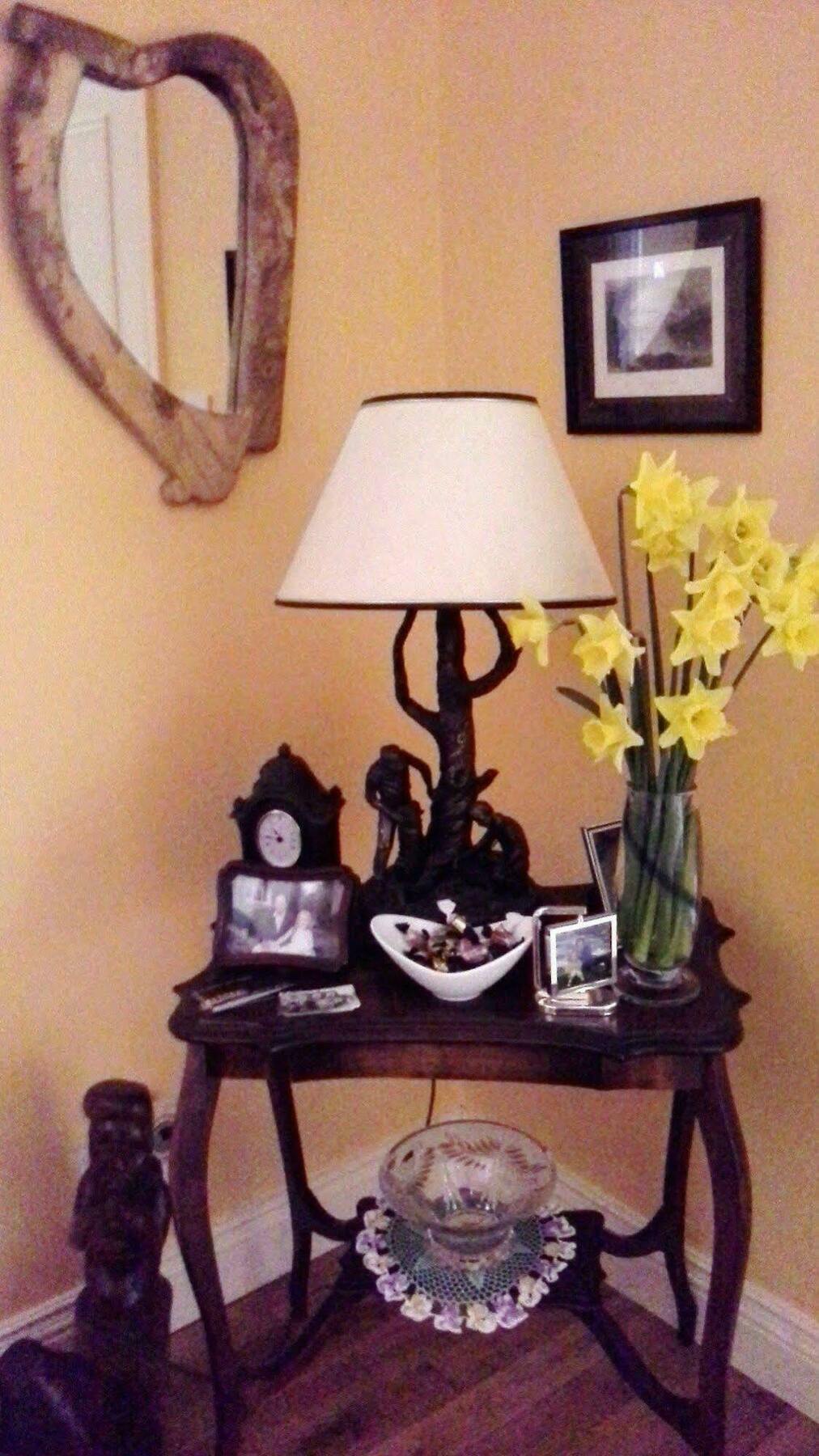 Blossom Hill Bed And Breakfast Killaloe Esterno foto